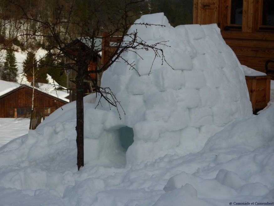 Igloo