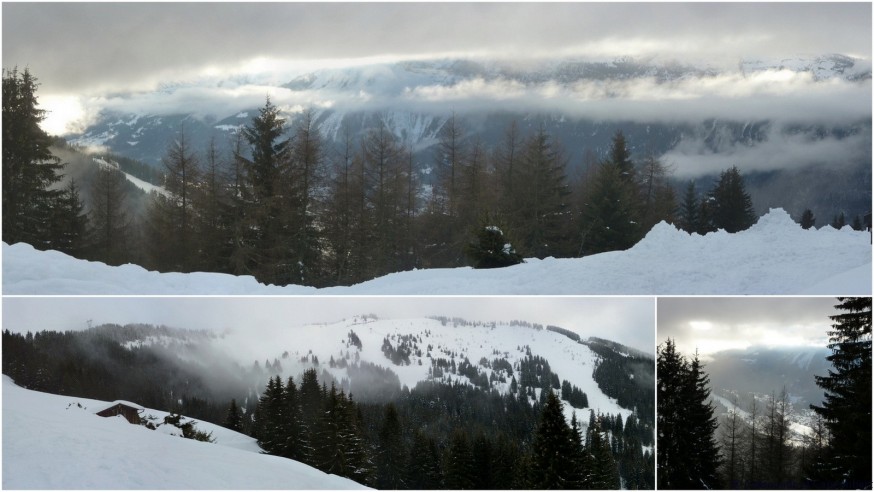 Vue depuis le chalet des tronchets Vue depuis le chalet des tronchets