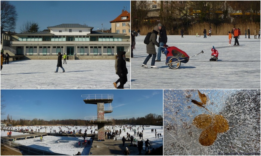 Woog Darmstadt gelé