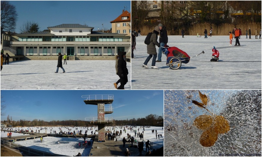 Woog Darmstadt gelé