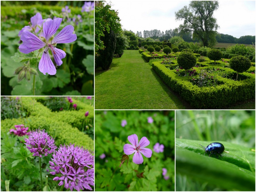 Jardin bleu - ferme du Mont des Recollets