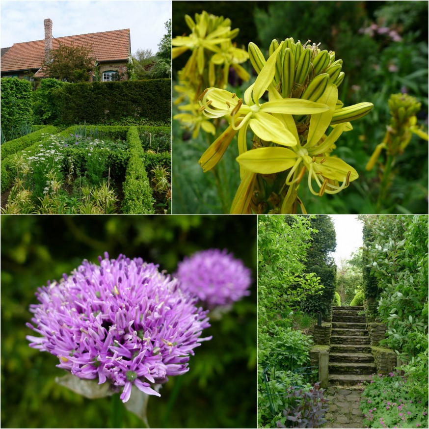 Potager - ferme du Mont des Recollets