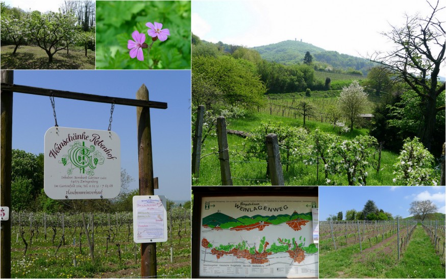 Vignes Blütenweg