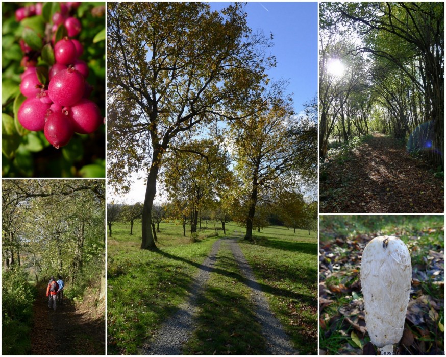 Randonnee a aschaffenburg automne Obernau