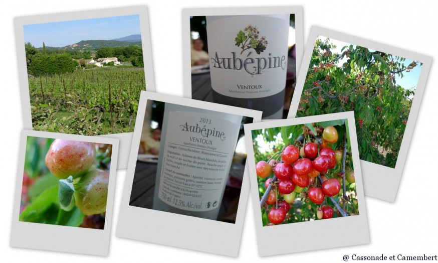 Production agricole Saint Pantaleon - gite luberon