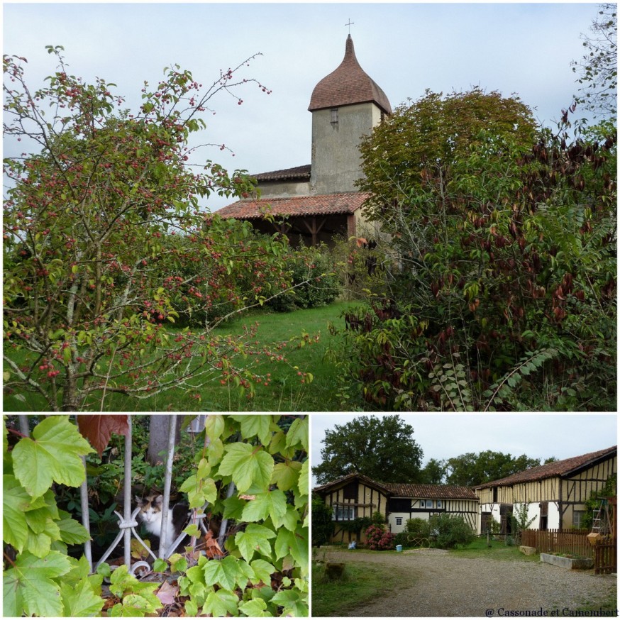 Entre Nogaro et Aire sur l Adour - compostelle landes