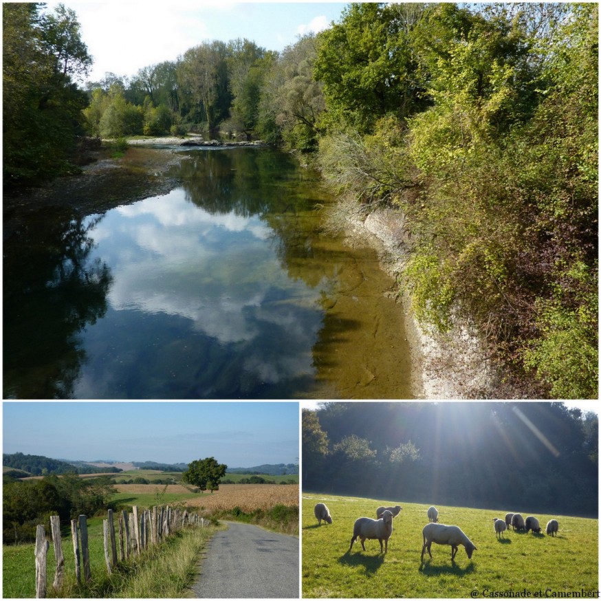 entre navarrenx et arroue - compostelle pays basque