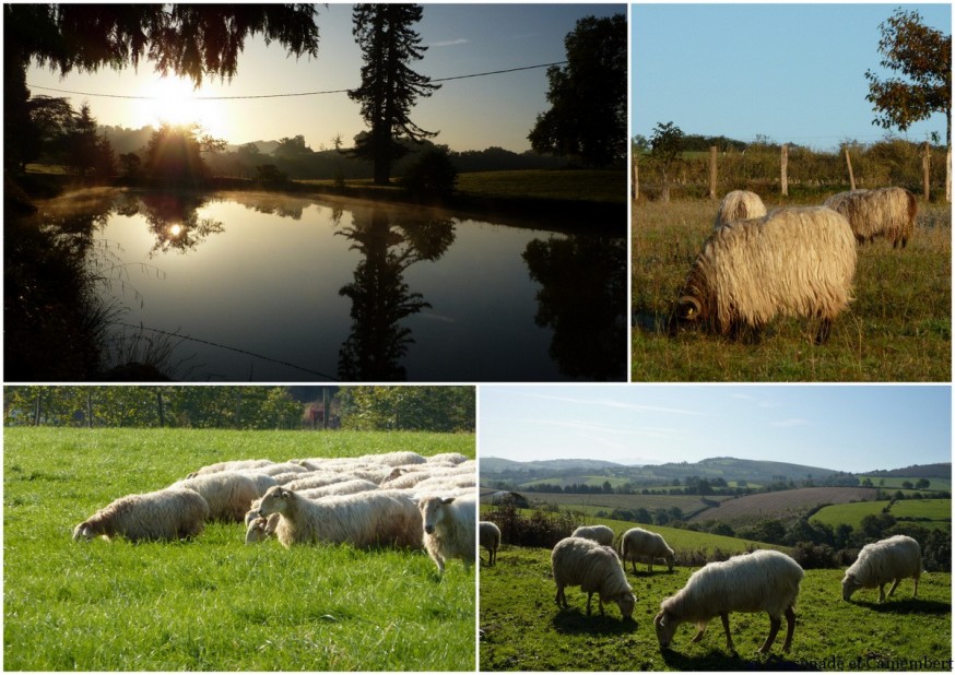 depart d arroue - compostelle pays basque