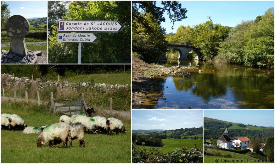 moutons - compostelle pays basque
