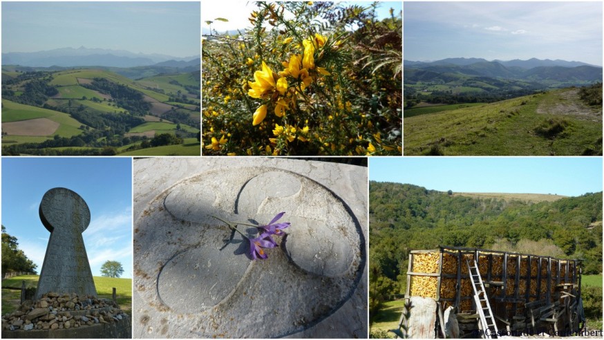 croix basque - compostelle pays basque