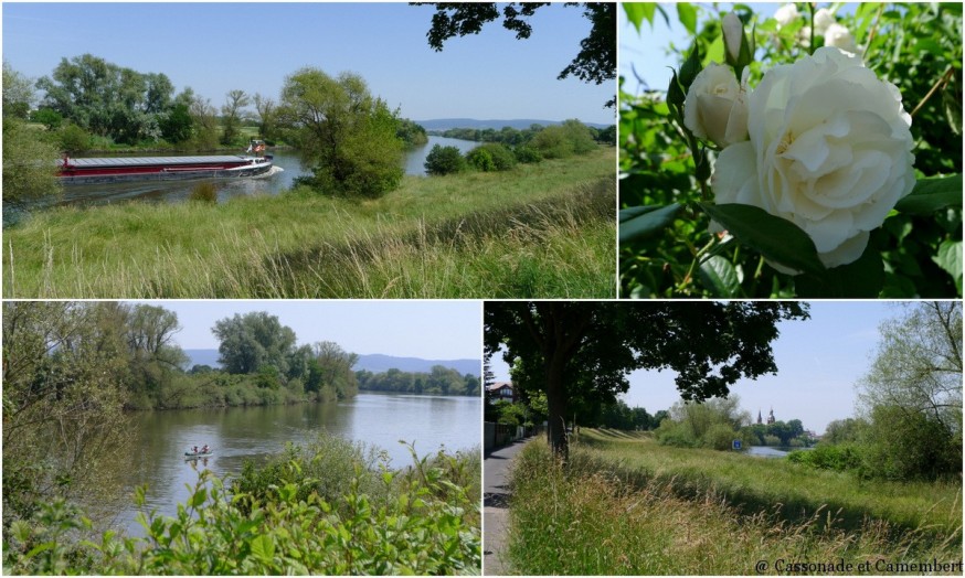 Le long du Main Seligenstadt