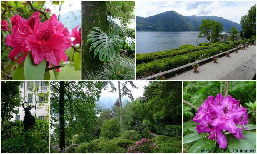 Les rhododendrons de la villa Carlotta sur le lac de Côme