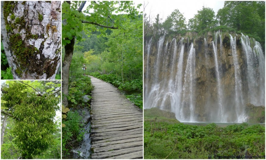 Cascades Parc des lacs de Plitvice