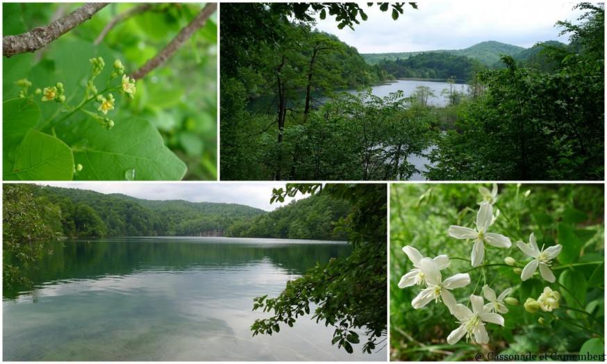 Grands lacs Parc des lacs de Plitvice