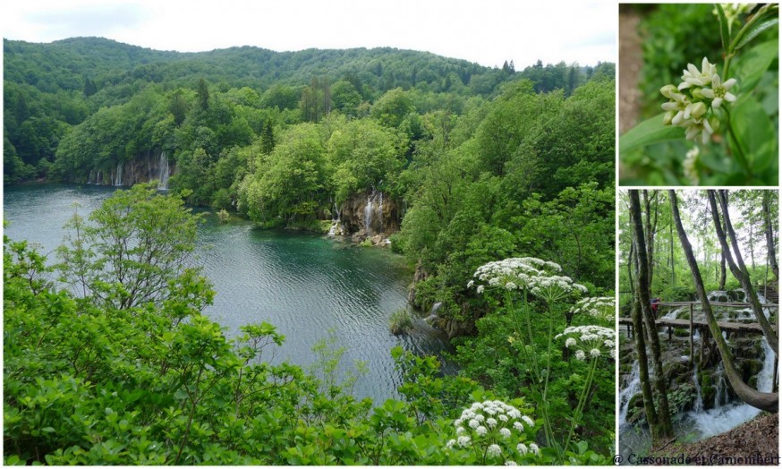 Grand lac Parc des lacs de Plitvice