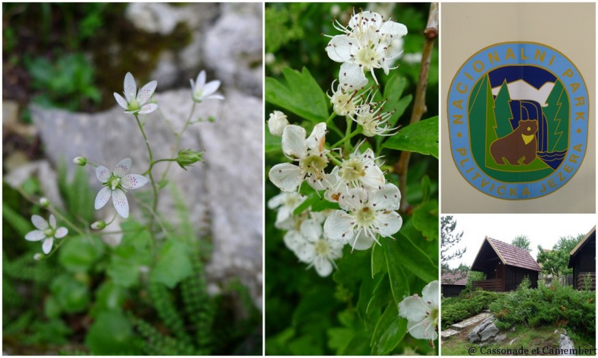 Flore Parc Plitvice