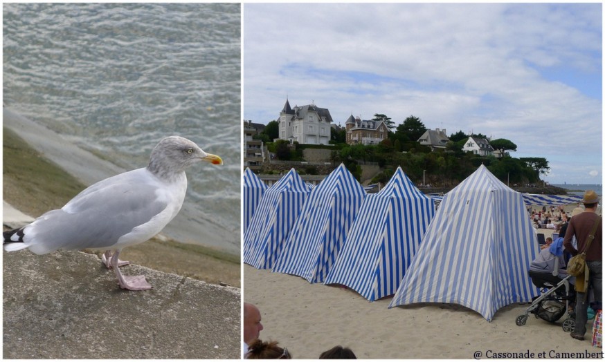 Abris vent Dinard