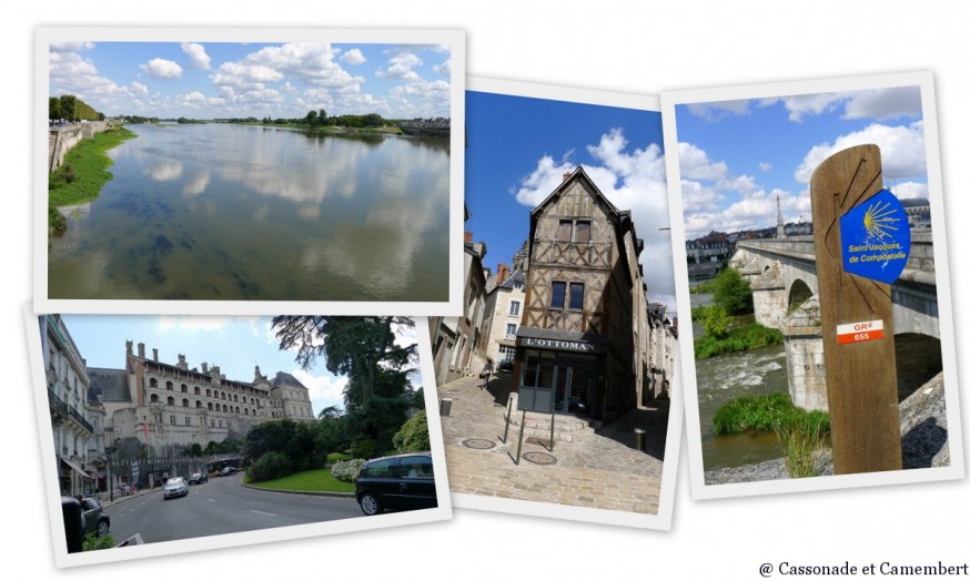 Loire à vélo arrivée à Blois