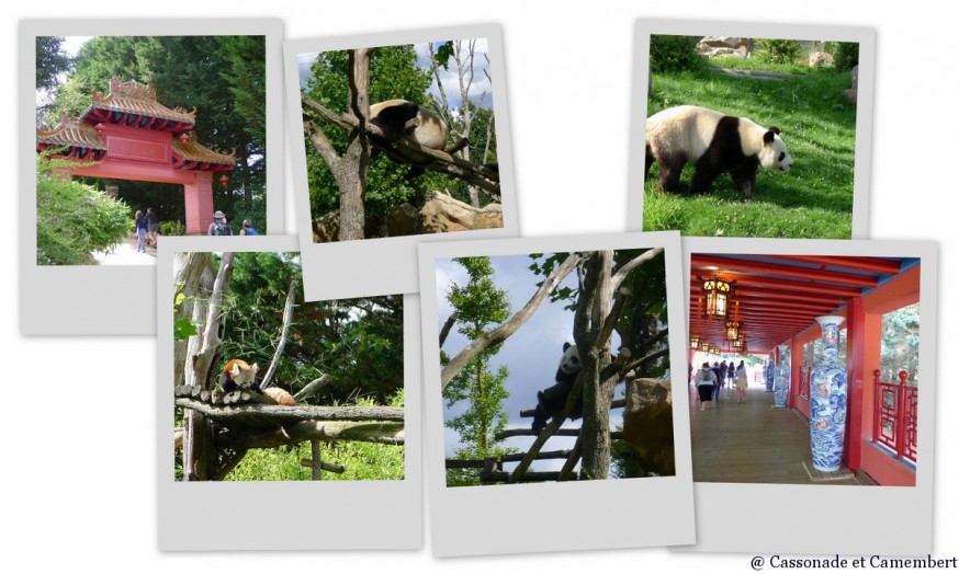 Pandas Zoo de Beauval