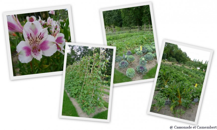 Potager chateau de Chenonceau