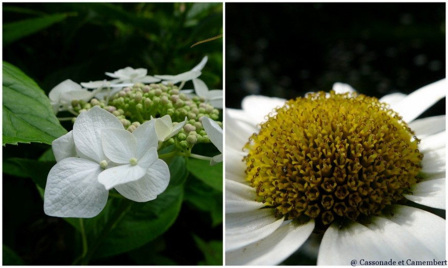 Jardins du pays d auge 2