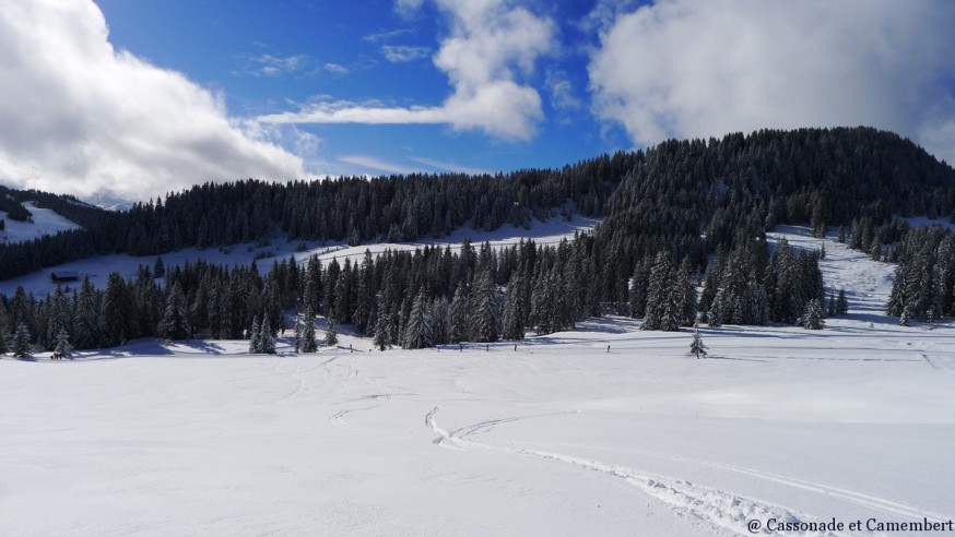 Aravis Aravis