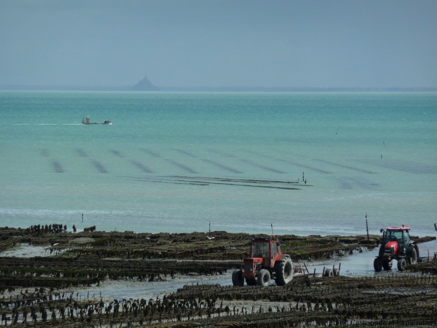Parcs a huitres de Cancale Parcs a huitres de Cancale