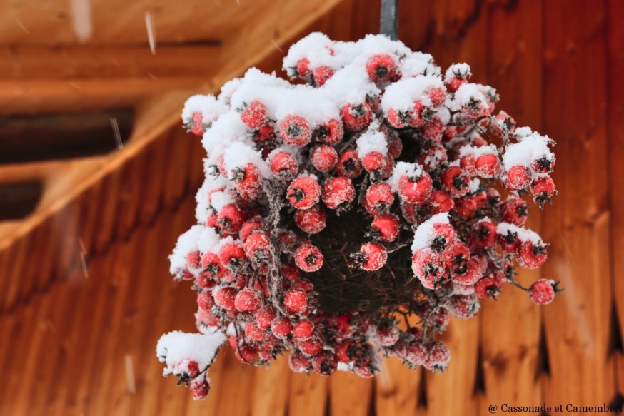 Fruits hiver pour oiseaux