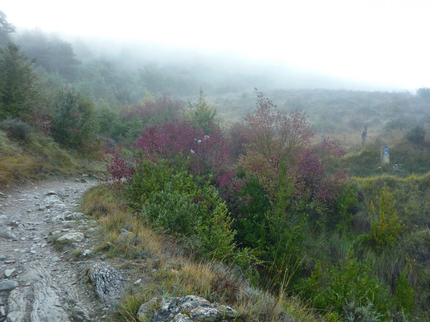 Chemin compostelle pampelune