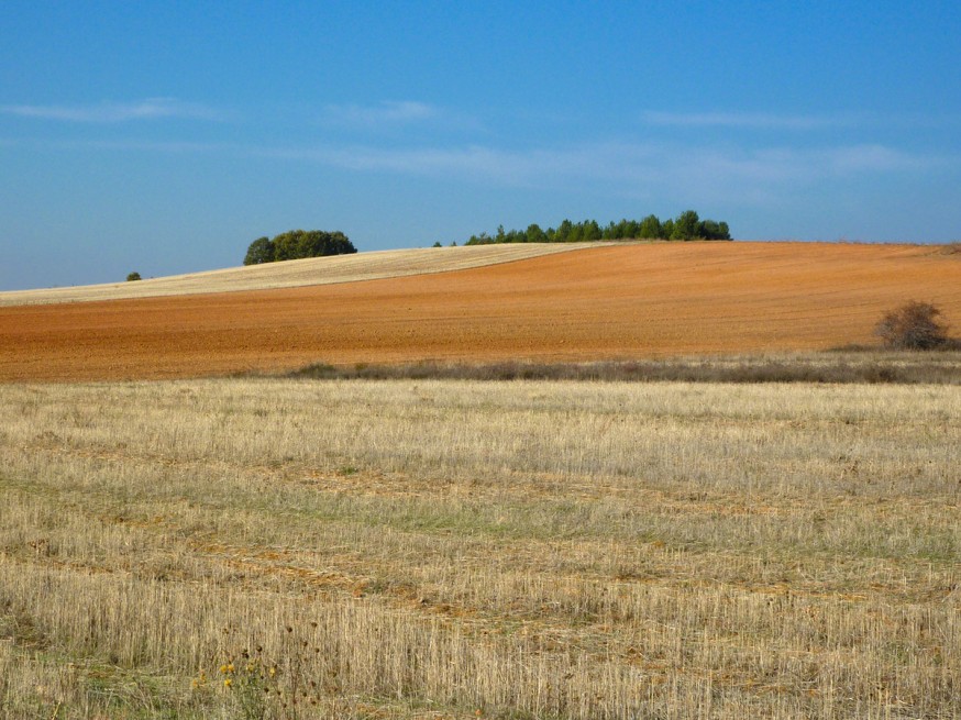 Plaine - Compostelle Castille