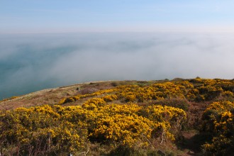 Bray's Head - Falaises de Bray