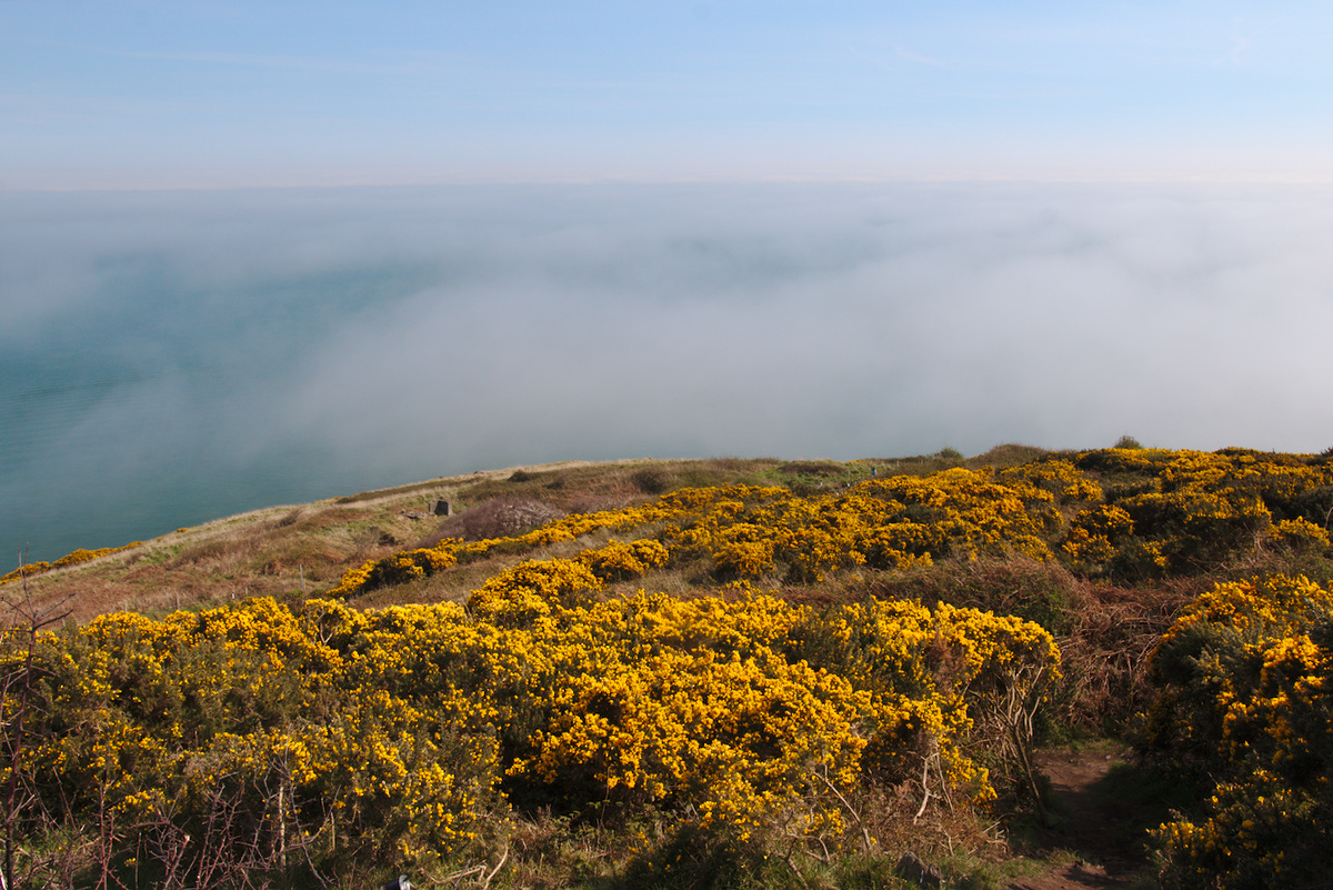 Bray's Head - Falaises de Bray