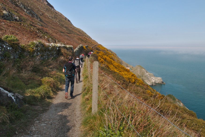 Chemin - Falaises de Bray