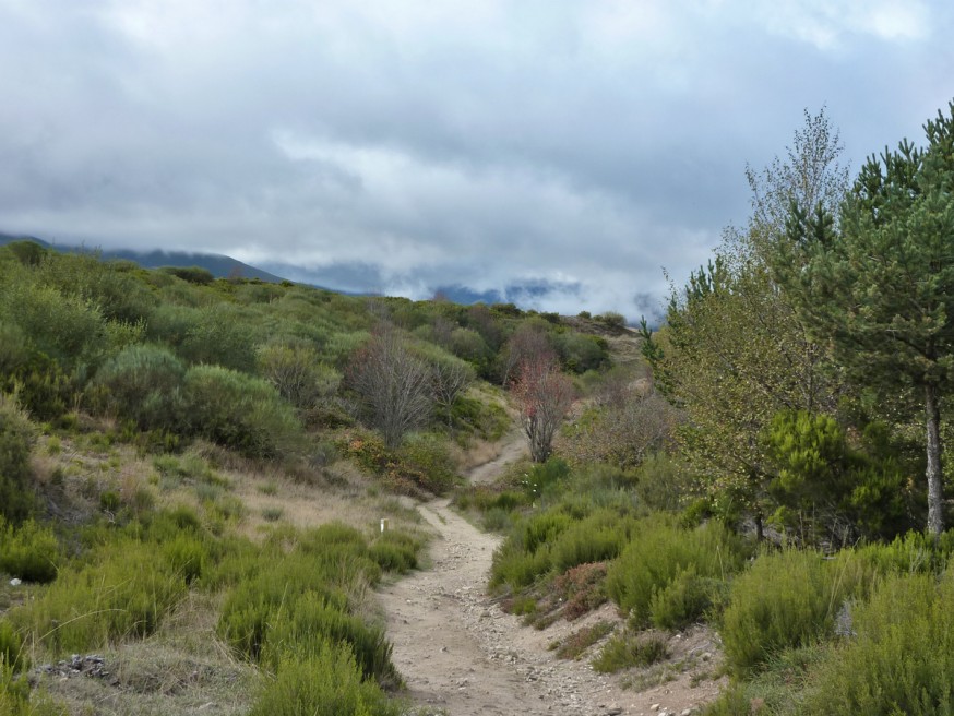 Compostelle - Bierzo - Montée vers Molinaseca