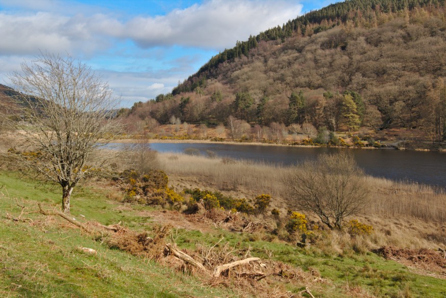 Lower Lake Glendalough