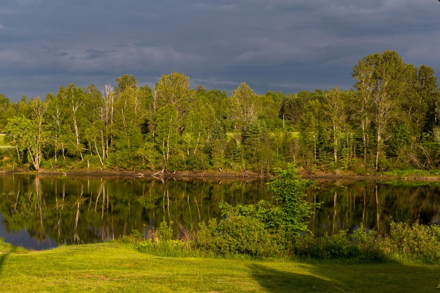 Riviere Gatineau - Sur les traces du castor