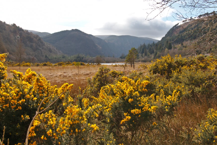 Vue depuis les pontons Lower Lake Glendalough