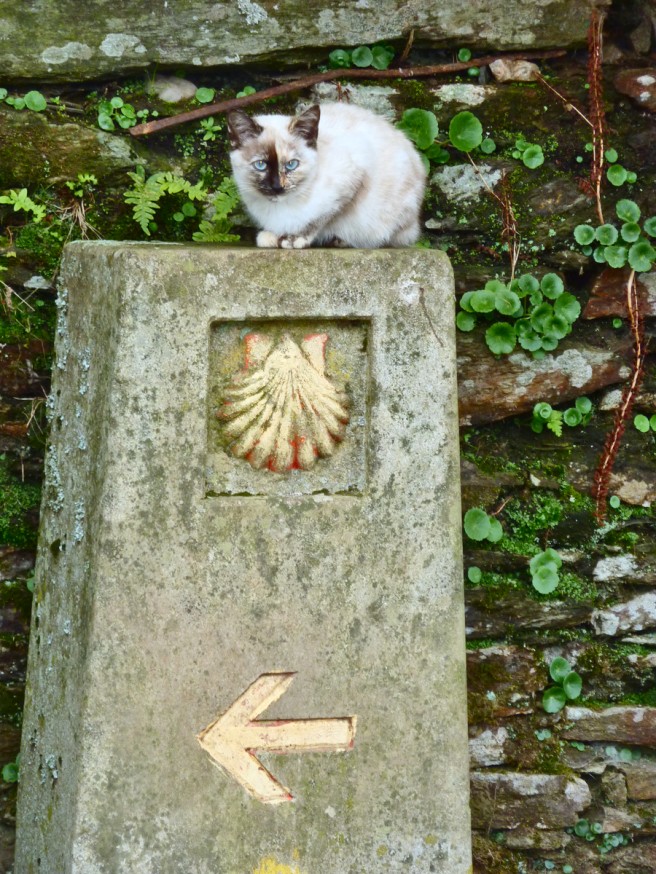 Borne de chemin - Galice - Compostelle