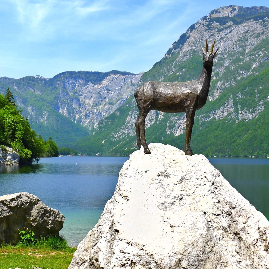 Bouquetin - Lac de Bohinj