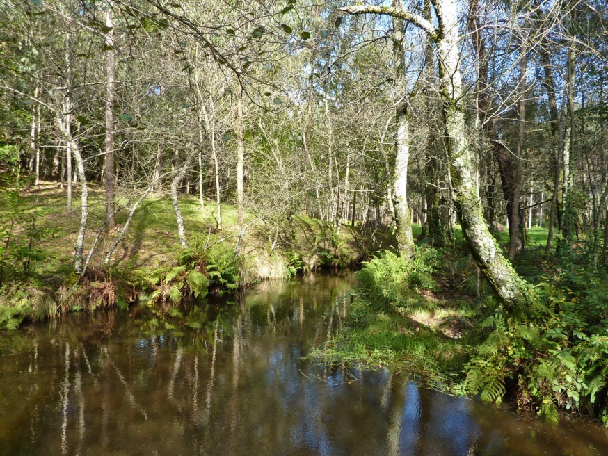 L'eau en Galice - Compostelle