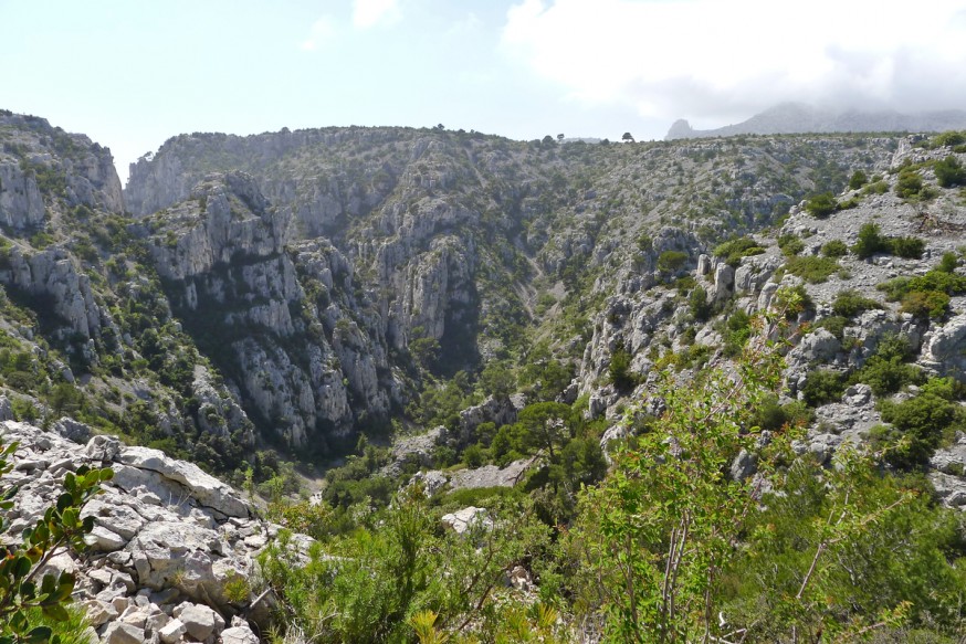 Vue sur le vallon d'En-Vau - Calanque d'En-Vau