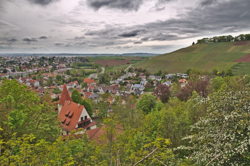 Vue sur les vignes depuis le chateau de Hohenbeilstein 2