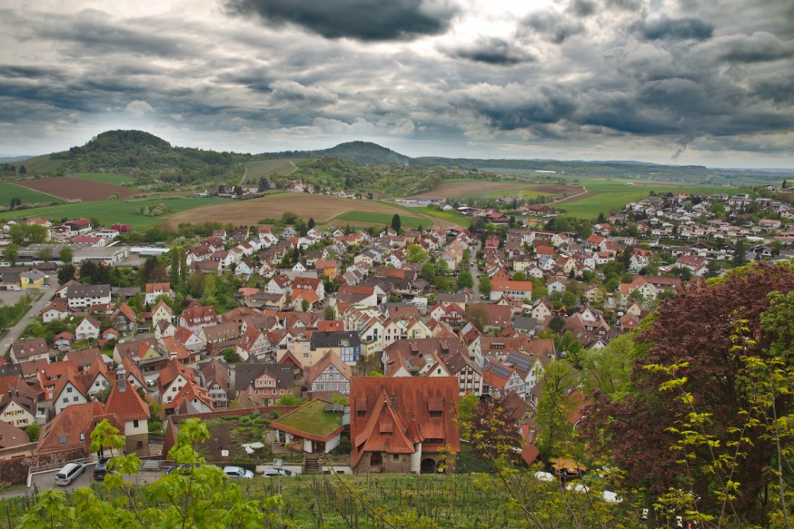 Vue sur les vignes depuis le chateau de Hohenbeilstein 3