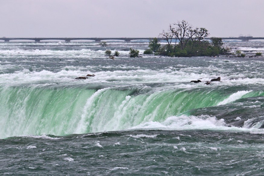 Chutes du Niagara - Ontario - Canada - 5