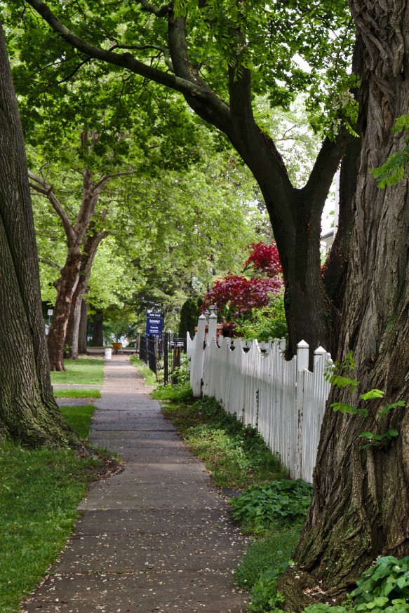 Niagara-on-the-lake - Ontario - Canada - 3