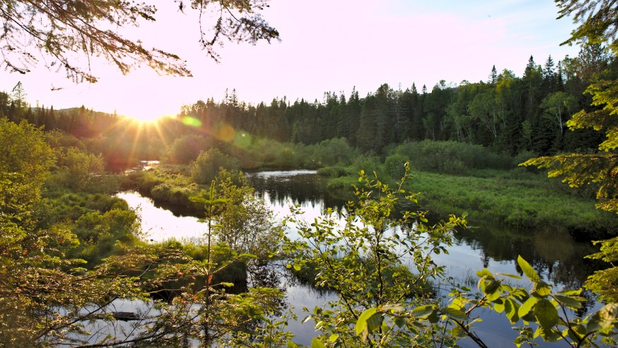 Coucher de soleil - Parc du Mont-Tremblant