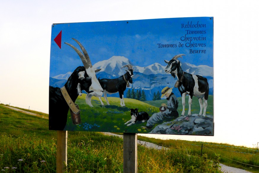 Ferme à reblochon - Semnoz - Rando lac d Annecy