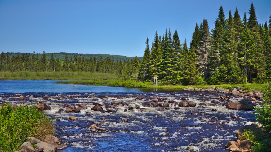 Lac - Parc du Mont-Tremblant