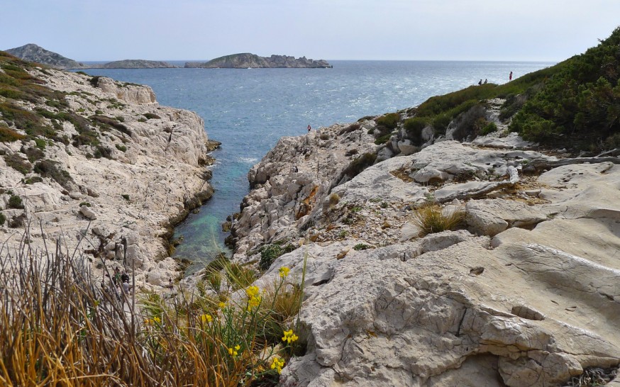 Vegetation calanque de la Mounine