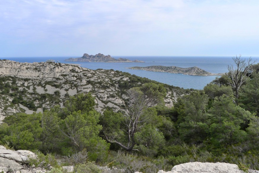 Vue sur l archipel de Riou